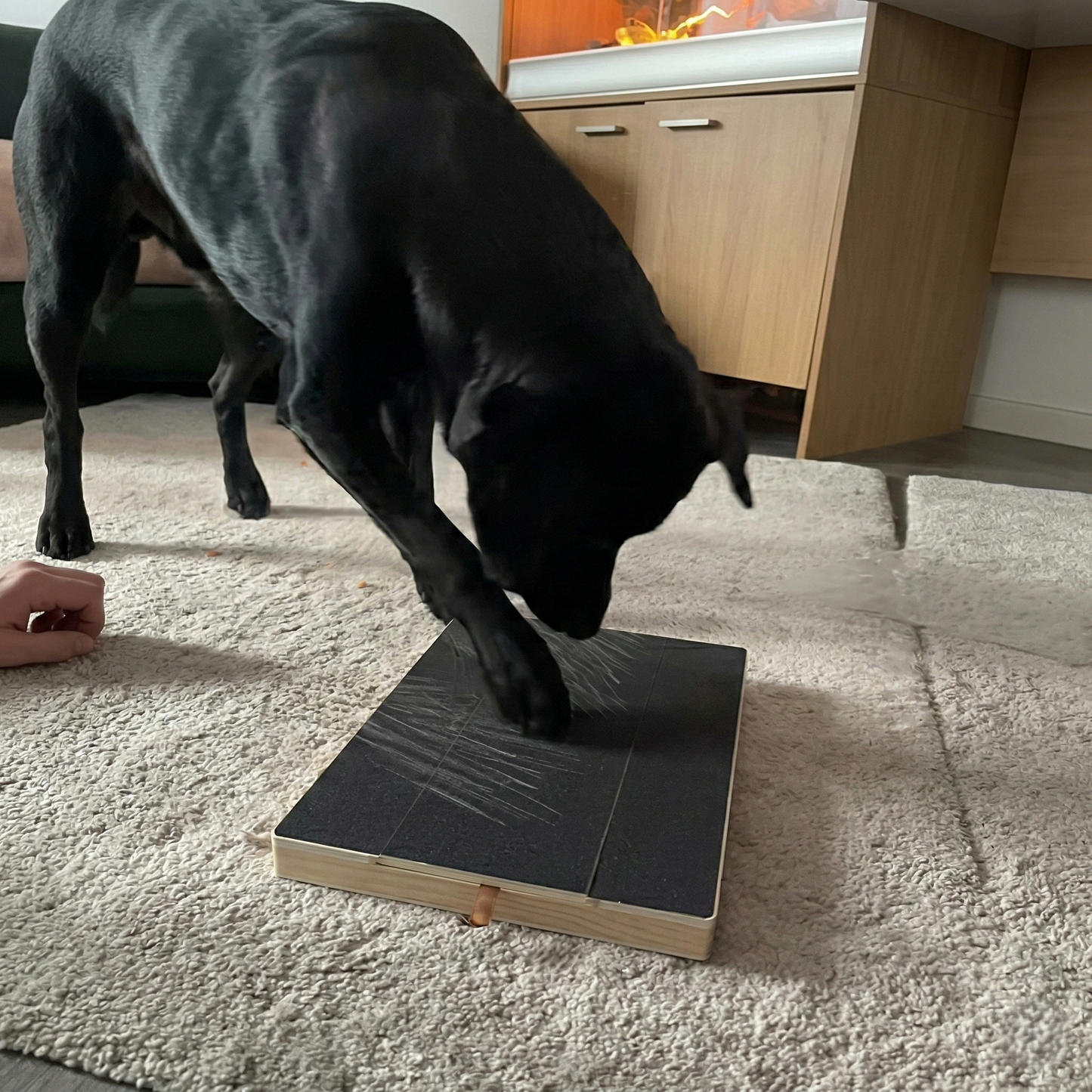 ScritchFun