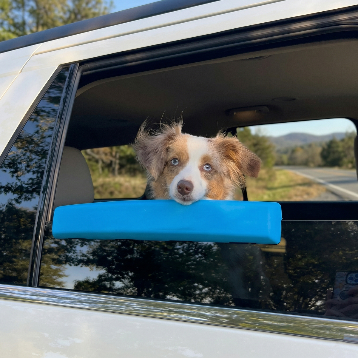 PawRest