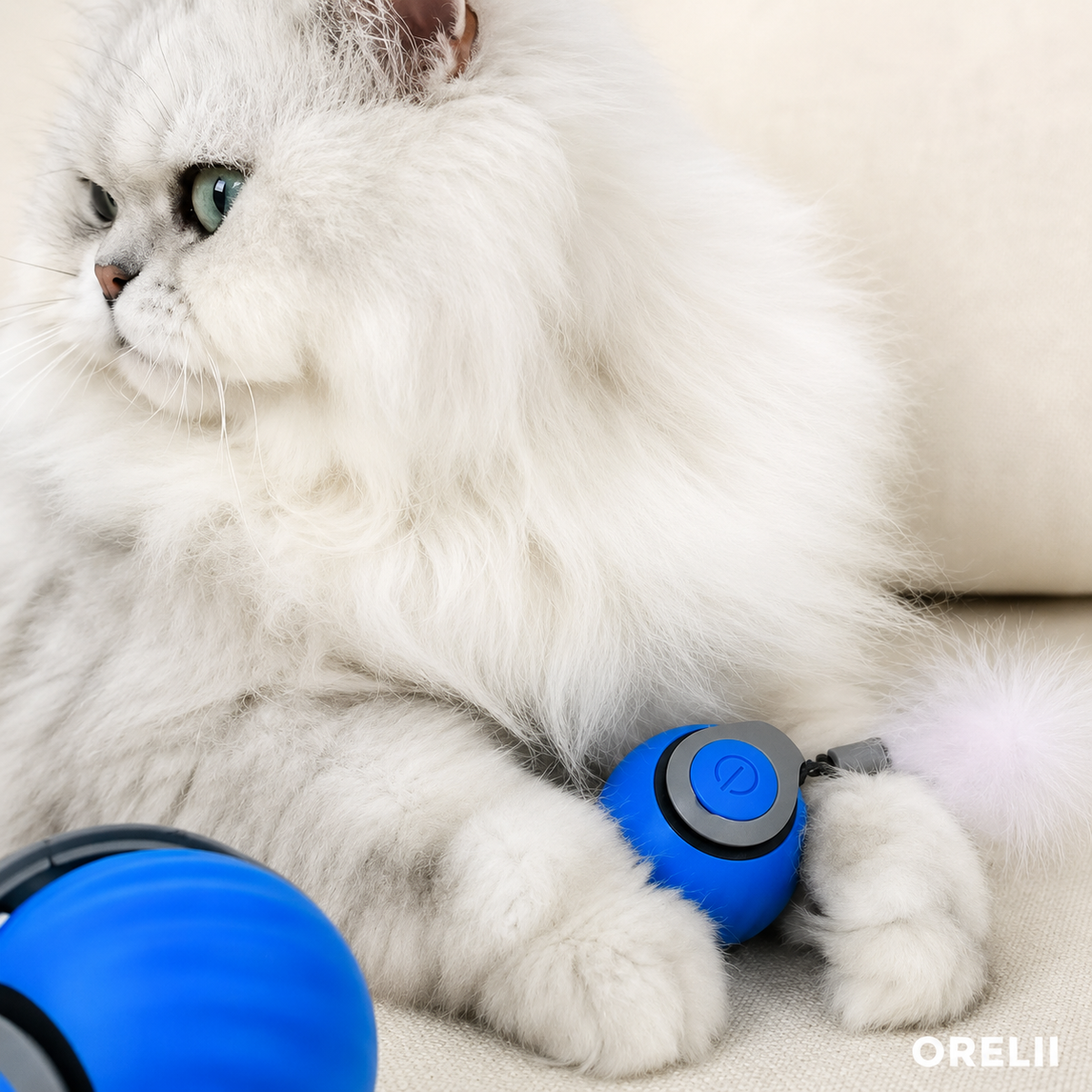 SPEEDY TAIL 2.0™