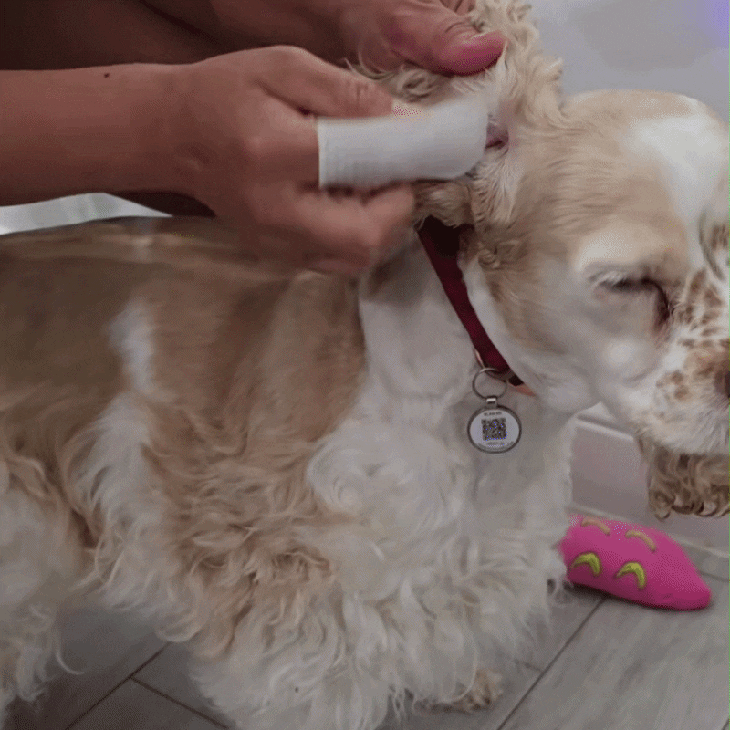 Finger Wipes for Pet Ear Cleaning