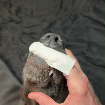 Pet Teeth Cleaning Finger Wipes